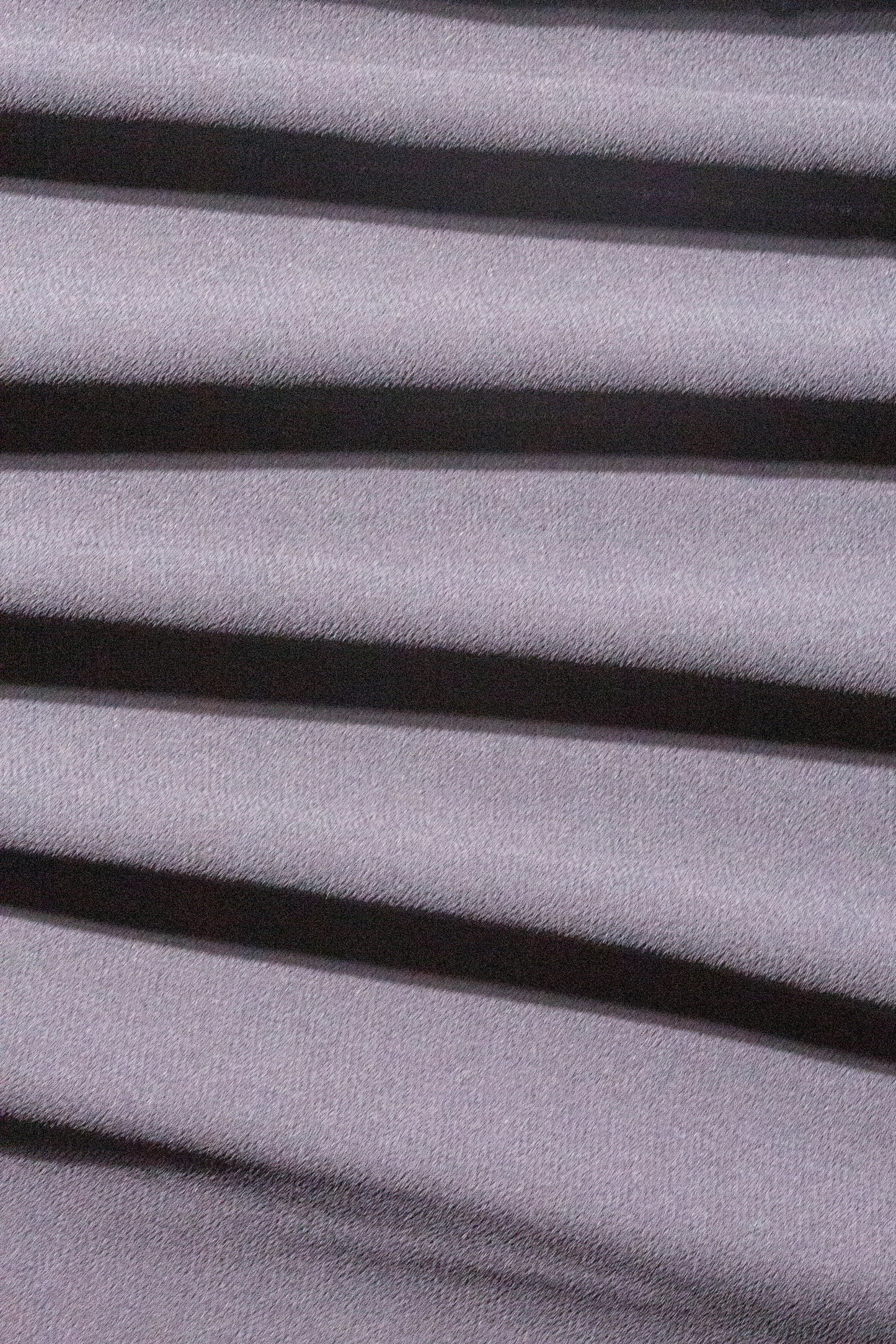 Silver Grey Feather
